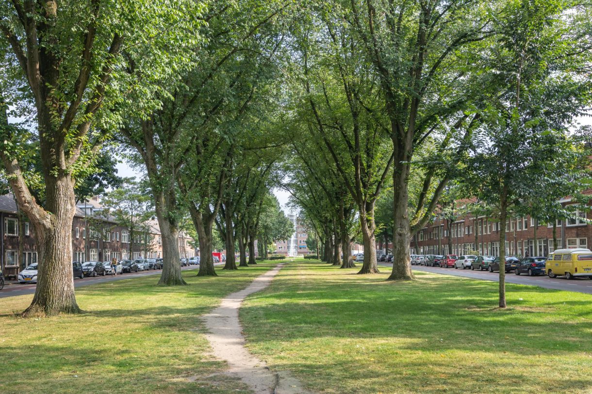 Te koop: Foto Woonhuis aan de Adelboldstraat 48 in Utrecht