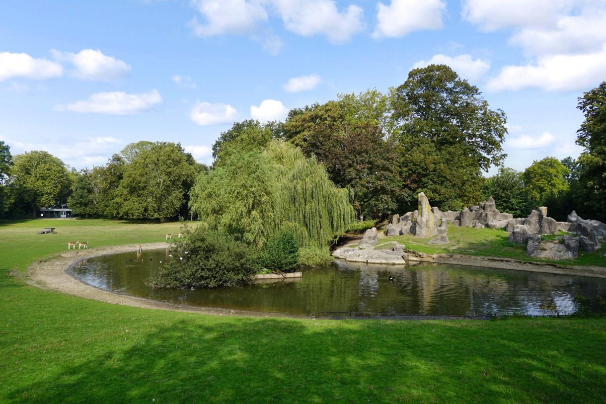 Te koop: Foto Woonhuis aan de Adelboldstraat 48 in Utrecht