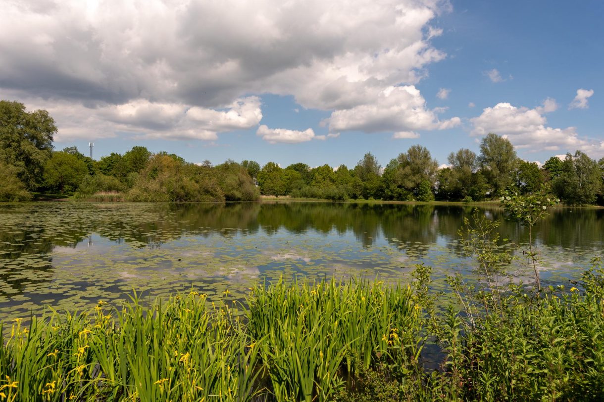 Te koop: Foto Appartement aan de Distelvlinderberm 20 in Houten