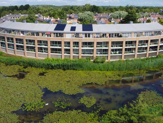 Hoofdfoto van Houten Zomervlinderberm 2