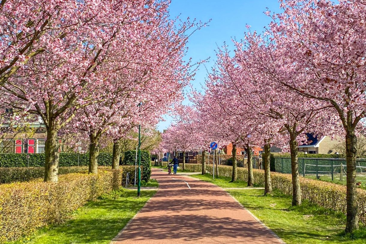 Te koop: Foto Woonhuis aan de Regentenland 1 in Houten