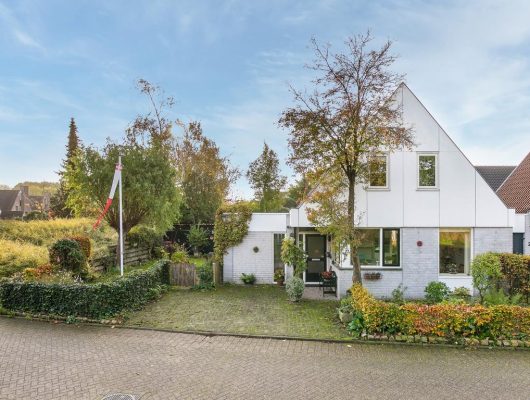 Hoofdfoto van Houten Druivengaarde 22