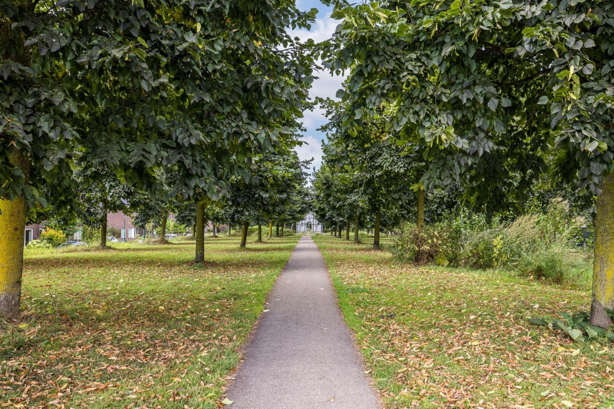 Te koop: Foto Woonhuis aan de Kraagsteen 4 in Houten