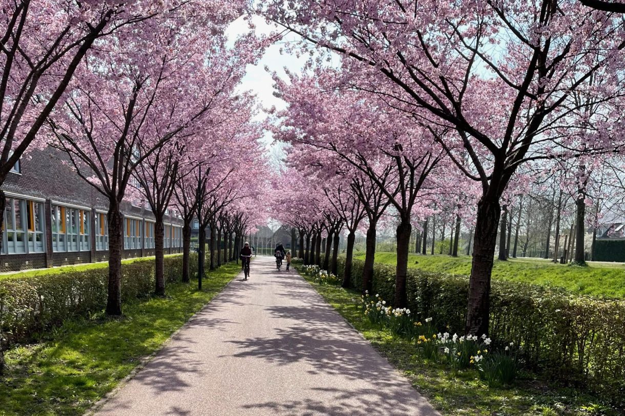 Te koop: Foto Appartement aan de Zonnehout 7 in Houten