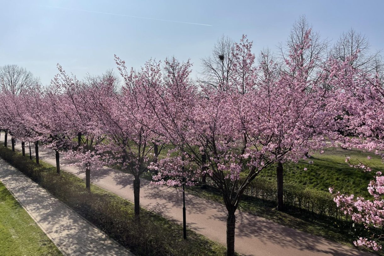 Te koop: Foto Appartement aan de Zonnehout 7 in Houten