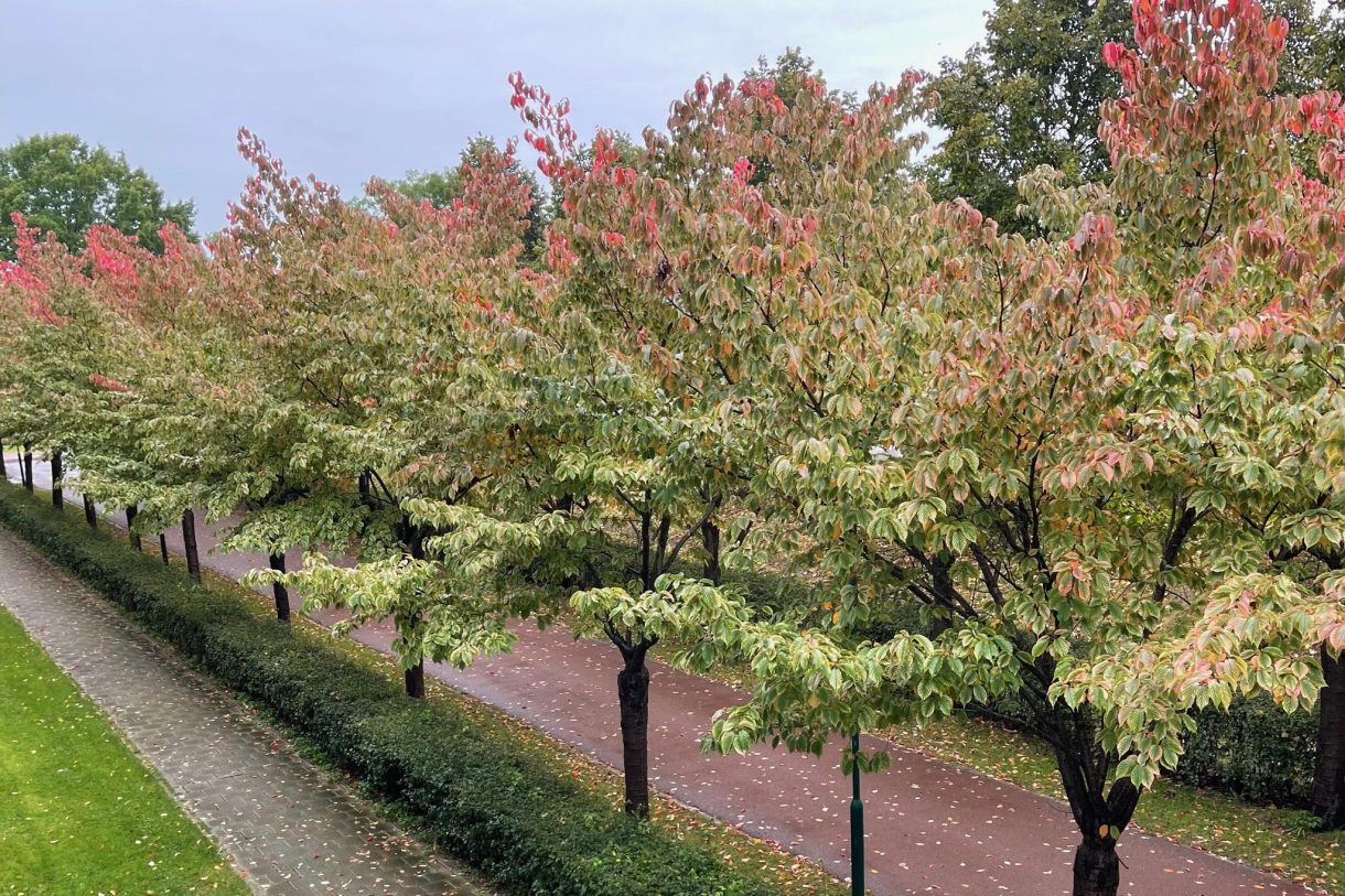 Te koop: Foto Appartement aan de Zonnehout 7 in Houten