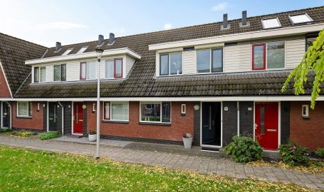 Hoofdfoto van Houten Blauwgras 28