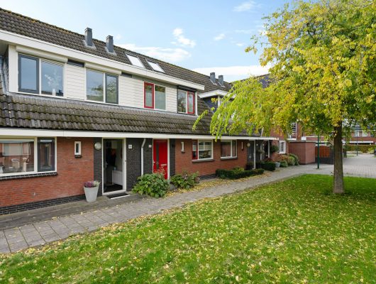 Hoofdfoto van Houten Blauwgras 28