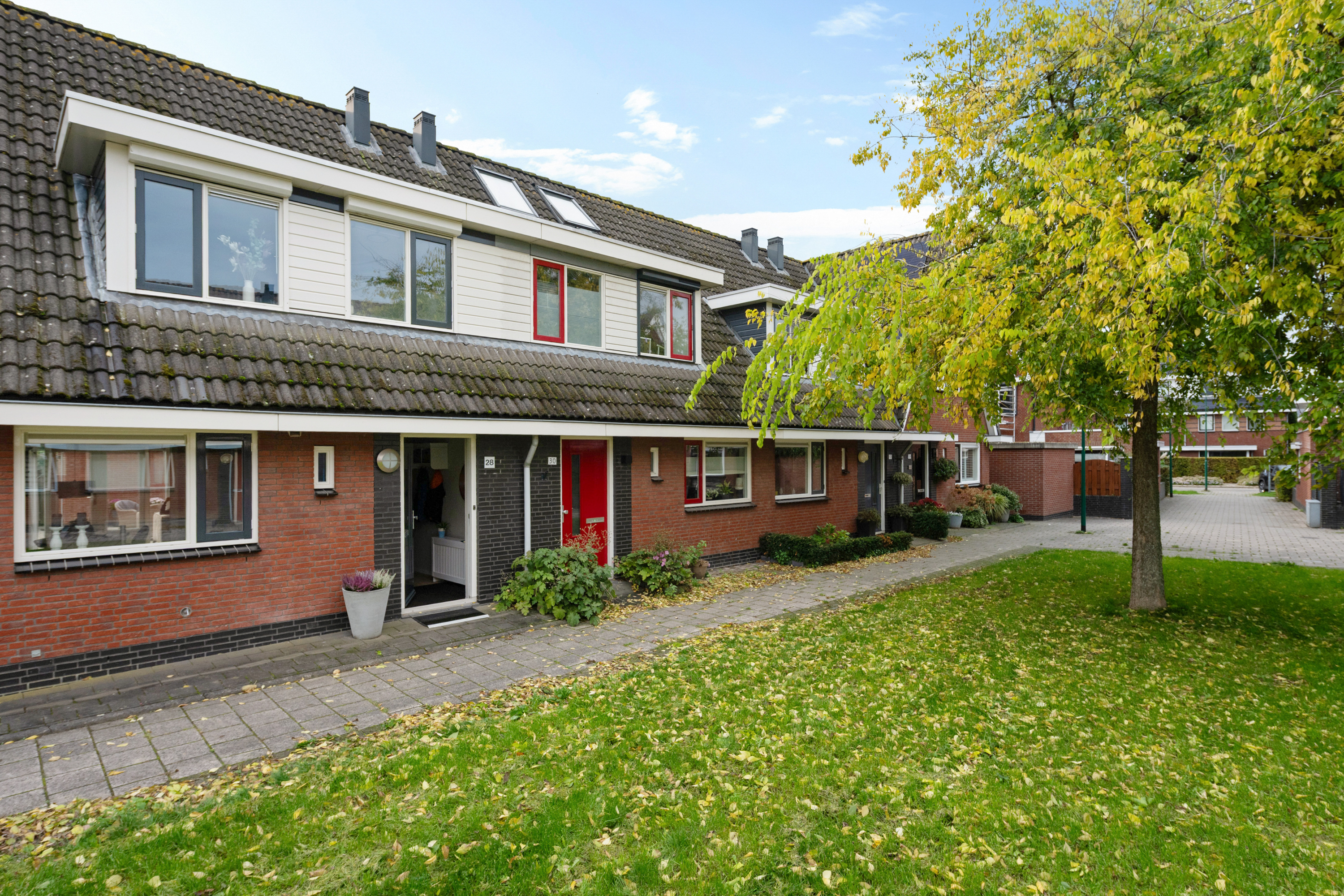 Hoofdfoto van Houten Blauwgras 28